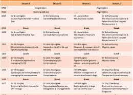 SVA Conference 2015 Time-table