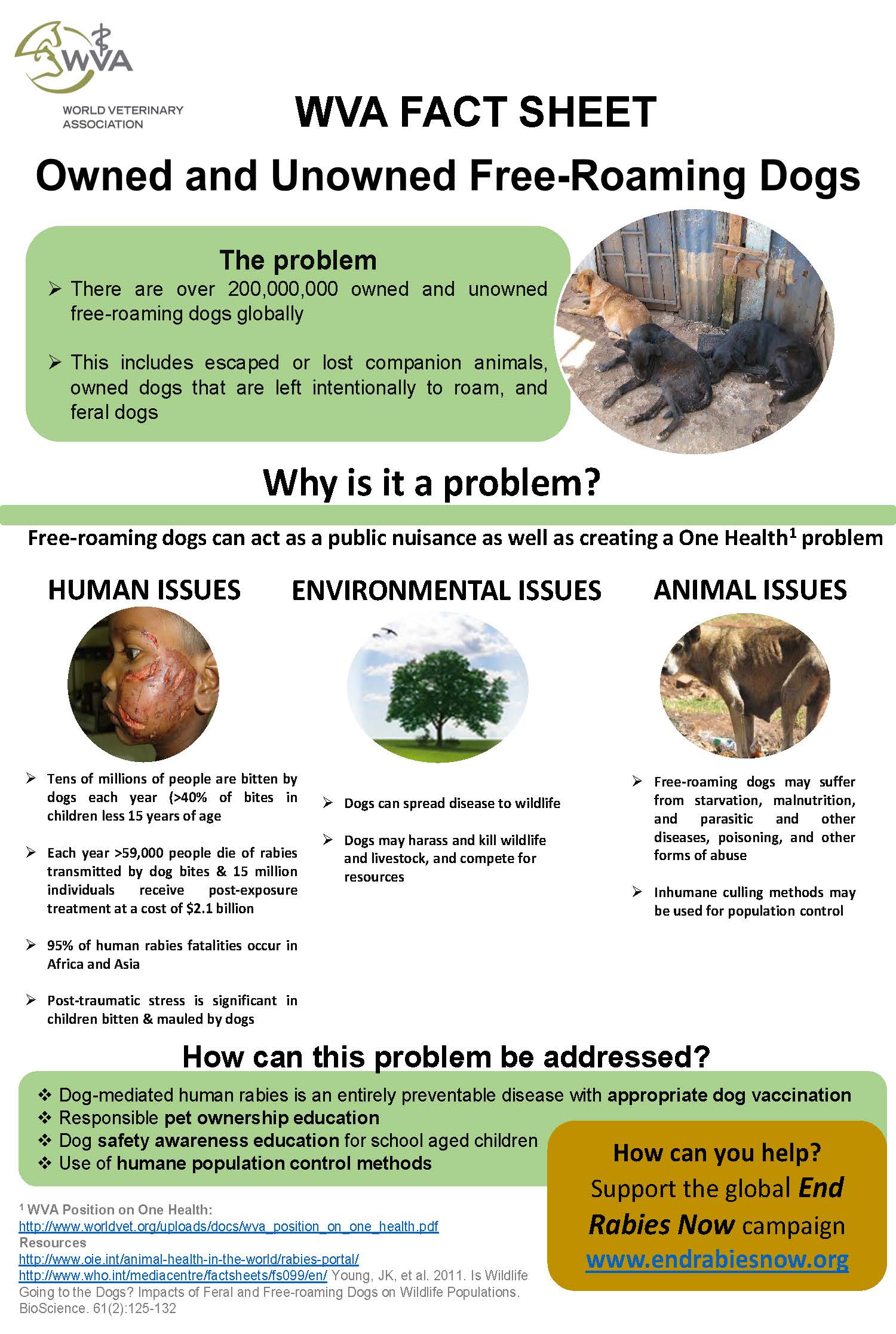WVA Factsheet on Animal Welfare issues – Owned and Unowned Free-Roaming  Dogs – FAVA