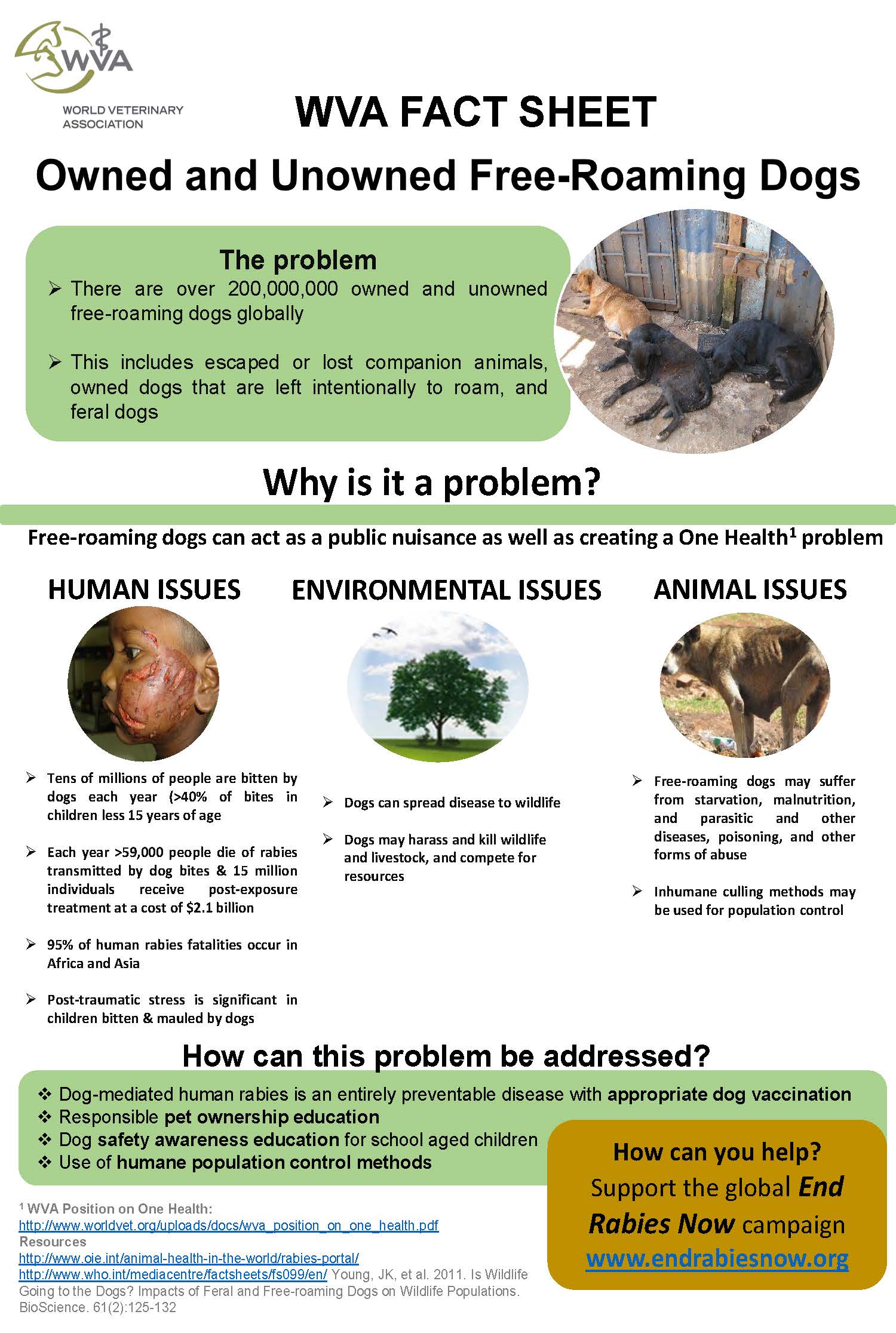WVA Factsheet on Animal Welfare issues – Owned and Unowned Free-Roaming Dogs – FAVA WVA Factsheet on Animal Welfare issues – Owned and Unowned Free-Roaming Dogs – FAVA